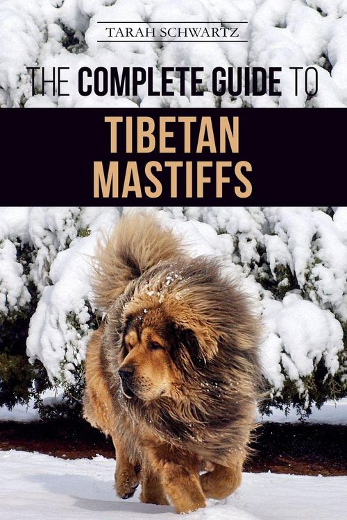 Produktbild: The Complete Guide to the Tibetan Mastiff