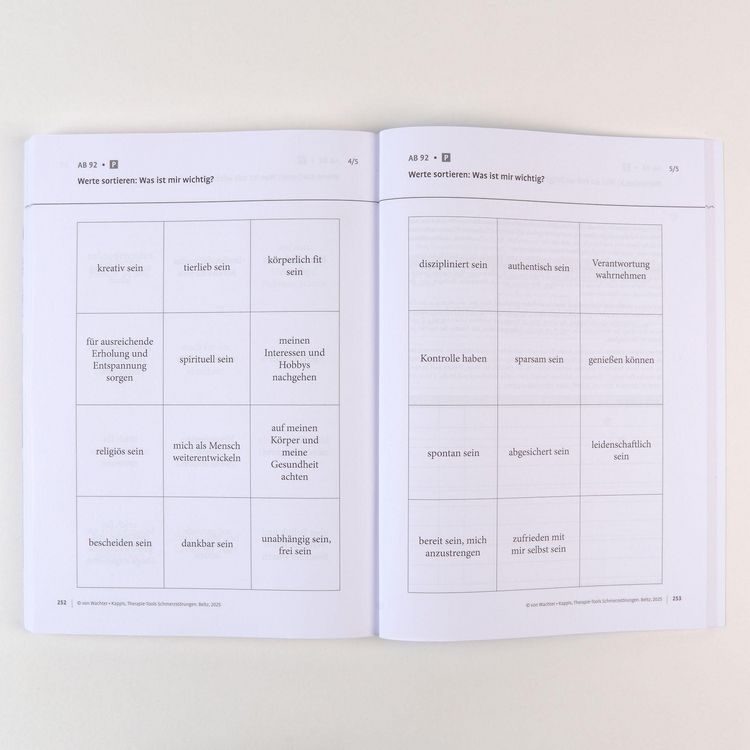 Produktbild: Therapie-Tools Schmerzst&ouml;rungen