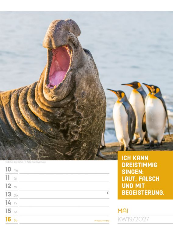 Produktbild: Tierisch Spr&uuml;chekalender Wochenplaner 2027