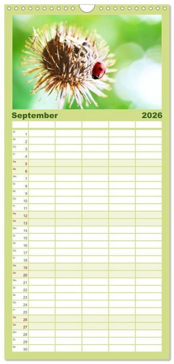 Produktbild: Familienplaner 2026 - Traum Blumen mit 5 Spalten (Wandkalender, 21 x 45 cm) CALVENDO