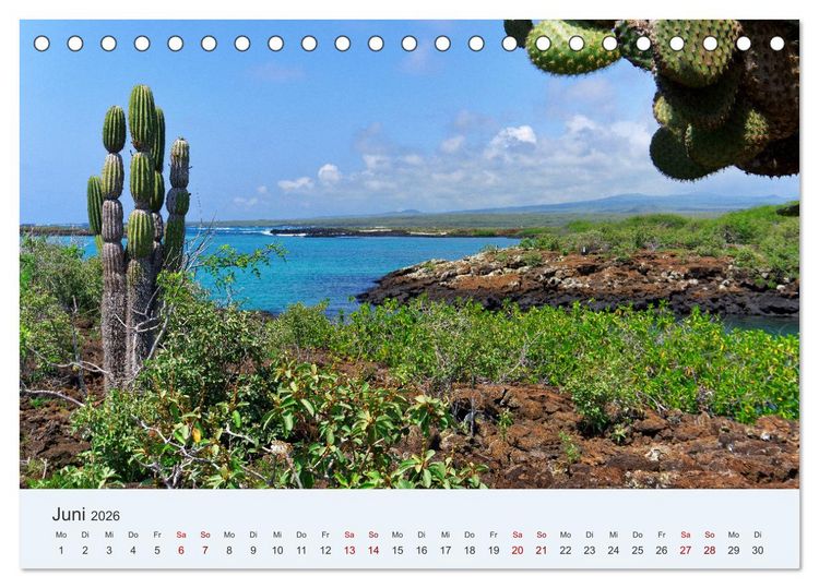 Produktbild: Entdecke Galapagos (Tischkalender 2026 DIN A5 quer), CALVENDO Monatskalender