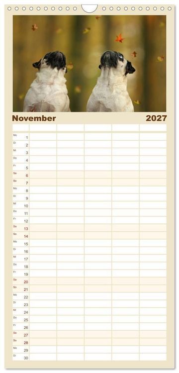 Produktbild: Familienplaner 2027 - Lustige M&ouml;pse aus der Hundeknipserei mit 5 Spalten (Wandkalender, 21 x 45 cm) CALVENDO
