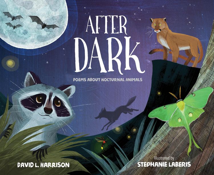 Produktbild: After Dark