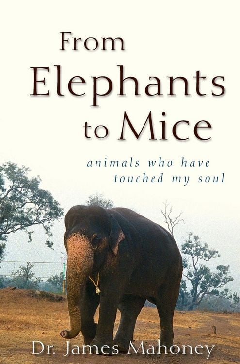 Produktbild: From Elephants to Mice