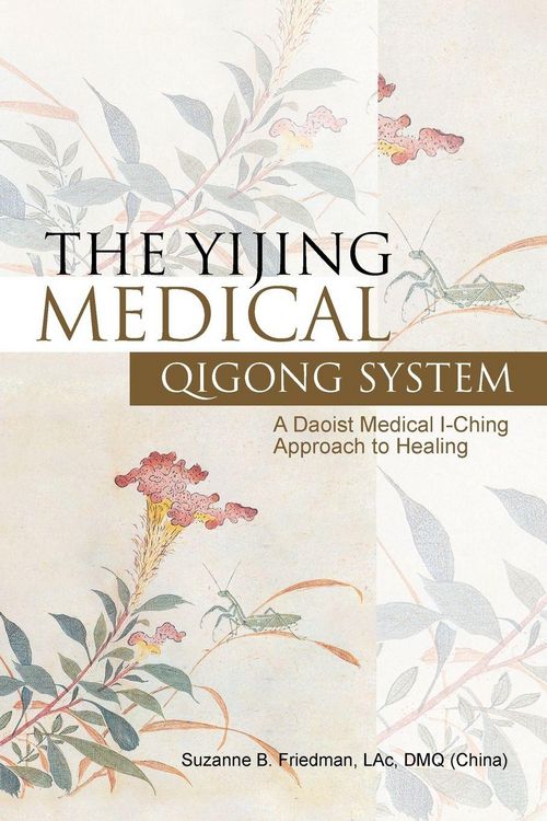 Produktbild: The Yijing Medical Qigong System