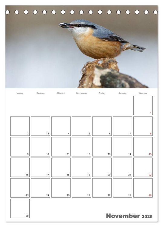 Produktbild: V&ouml;gel im heimischen Garten (Tischkalender 2026 DIN A5 hoch), CALVENDO Monatskalender