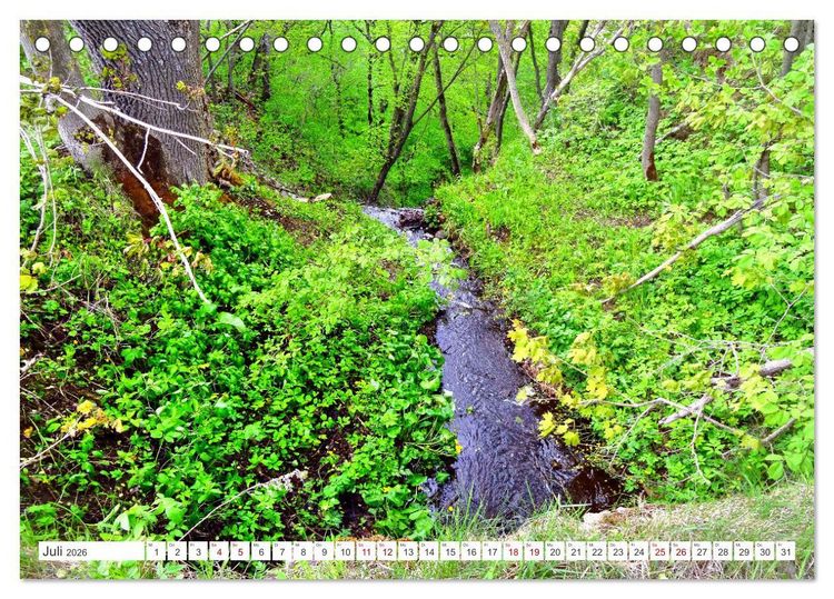 Produktbild: Gr&uuml;nes Estland - Naturparadies am Baltischen Meer (Tischkalender 2026 DIN A5 quer), CALVENDO Monatskalender