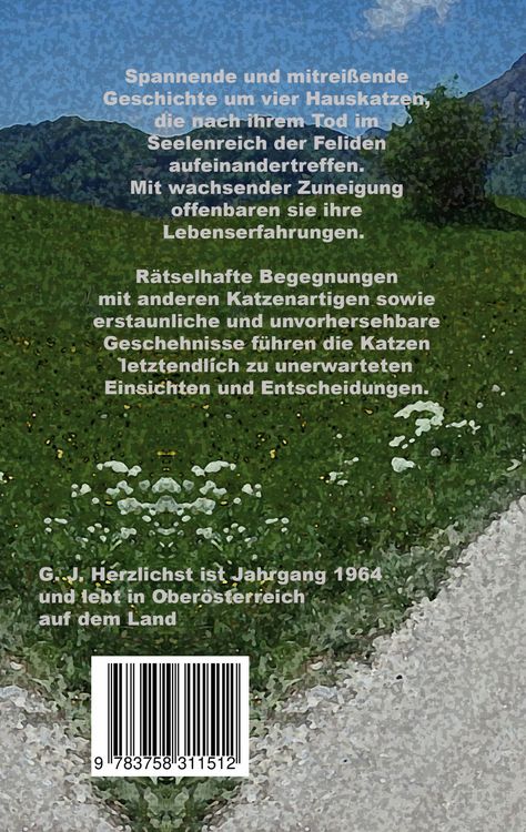 Produktbild: Wo alle Katzen hingehen
