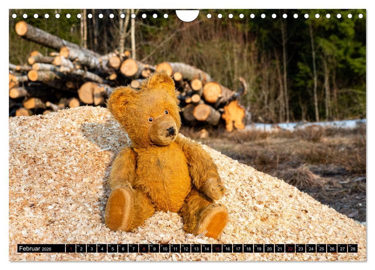 Produktbild: Neue Abenteuer von Teddy Basse (Wandkalender 2026 DIN A4 quer), CALVENDO Monatskalender