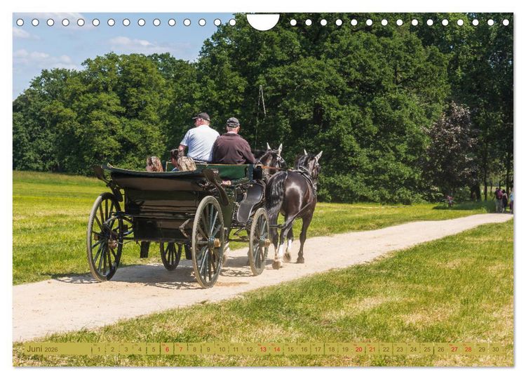 Produktbild: Parkgemeinde Kromlau (Wandkalender 2026 DIN A4 quer), CALVENDO Monatskalender