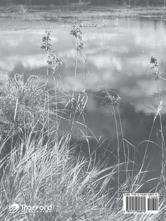 Produktbild: Reflections Through a Special Lens