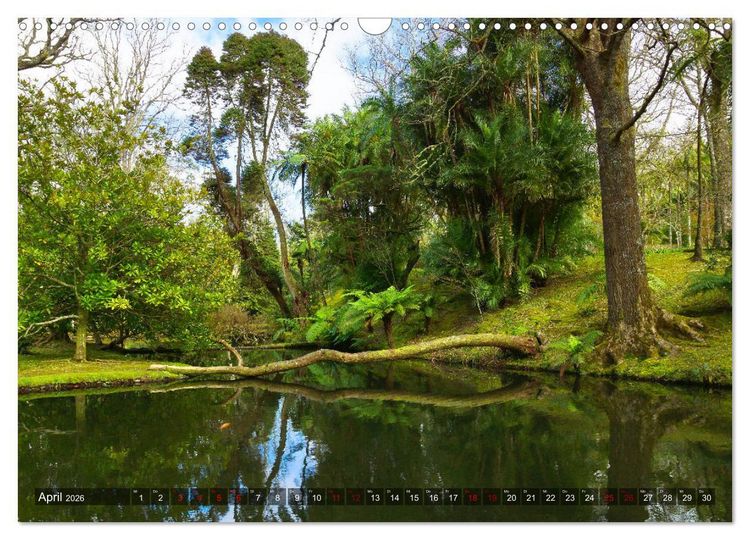 Produktbild: Terra Nostra Garten - ein botanisches Juwel auf den Azoren (Wandkalender 2026 DIN A3 quer), CALVENDO Monatskalender