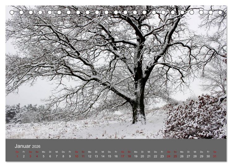 Produktbild: Wahner Heide - Aussichten und Begegnungen (Tischkalender 2026 DIN A5 quer), CALVENDO Monatskalender
