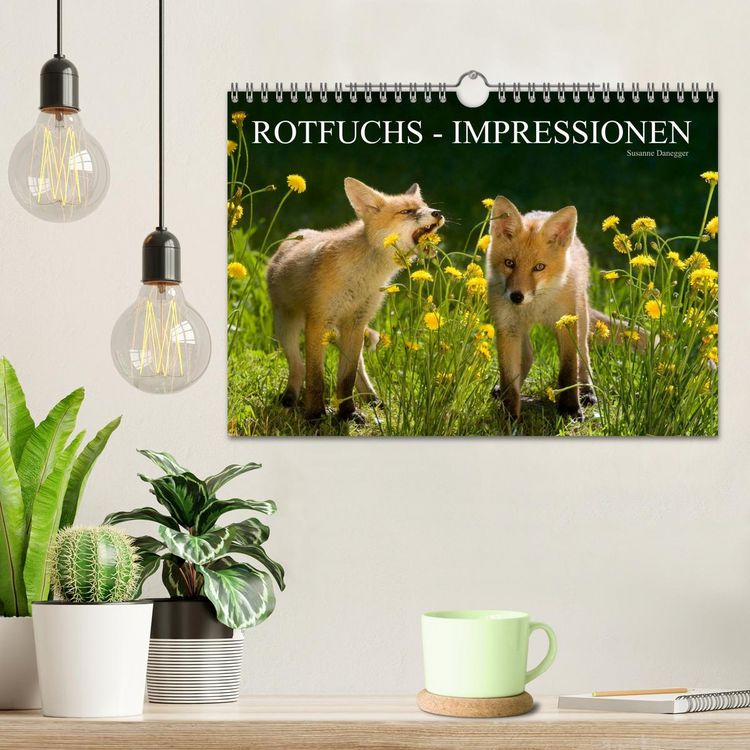 Produktbild: Rotfuchs - Impressionen (Wandkalender 2026 DIN A4 quer), CALVENDO Monatskalender