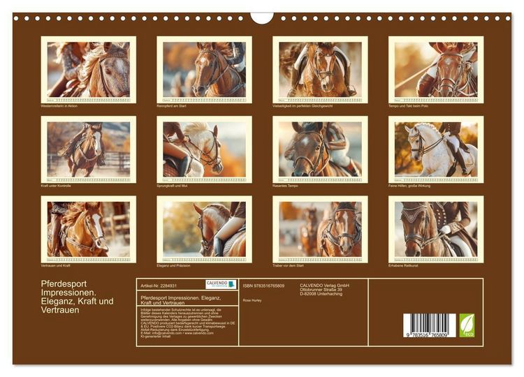 Produktbild: Pferdesport Impressionen. Eleganz, Kraft und Vertrauen (Wandkalender 2027 DIN A3 quer), CALVENDO Monatskalender