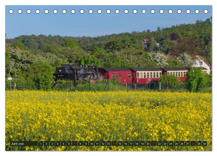 Produktbild: Ein Sommertag in Gernrode (Tischkalender 2026 DIN A5 quer), CALVENDO Monatskalender
