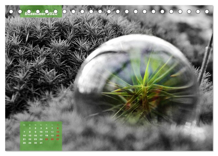 Produktbild: Die bunte Welt in der Kugel - neue Blickwinkel (Tischkalender 2026 DIN A5 quer), CALVENDO Monatskalender