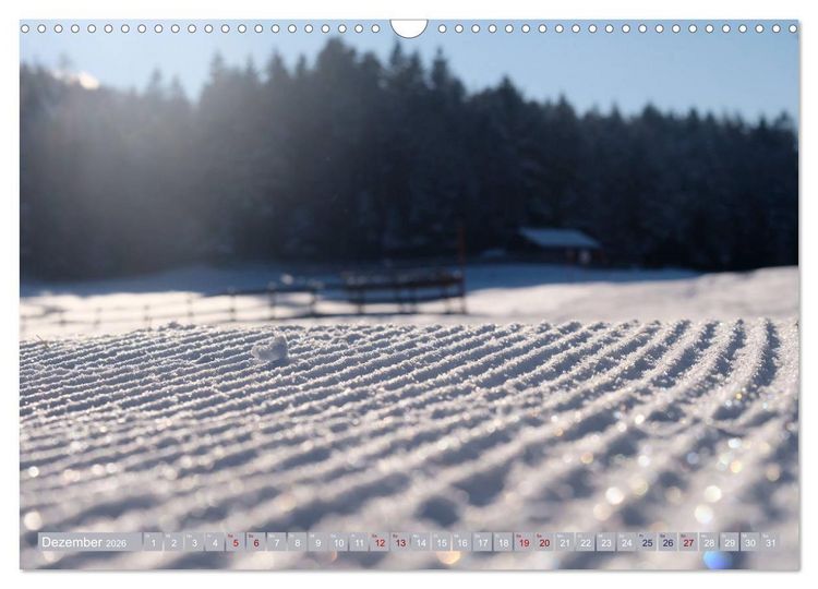Produktbild: Mein Tirol und Alpenvorland (Wandkalender 2026 DIN A3 quer), CALVENDO Monatskalender