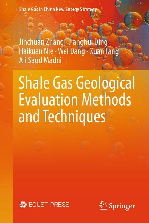 Produktbild: Shale Gas Geological Evaluation Methods and Techniques
