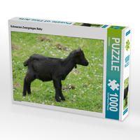 Produktbild: CALVENDO Puzzle Schwarzes Zwergziegen Baby 1000 Teile Lege-Gr&ouml;&szlig;e 64 x 48 cm Foto-Puzzle Bild von Kattobello
