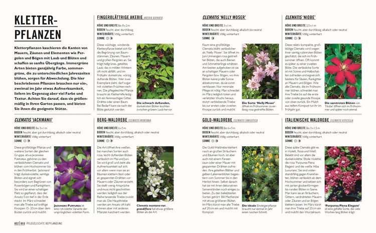 Produktbild: Gr&uuml;nes Gartenwissen. G&auml;rtnern mit wenig Aufwand