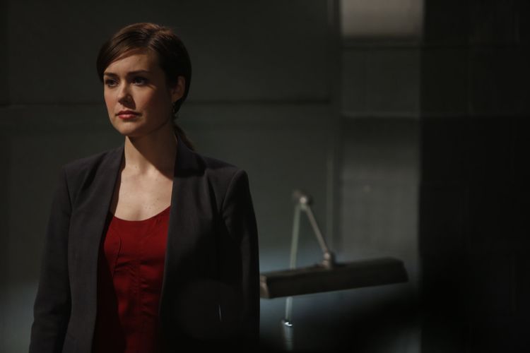 The Blacklist - Season 1 [6 DVDs]
