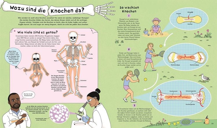 Produktbild: Wie kommt der Popel in die Nase?