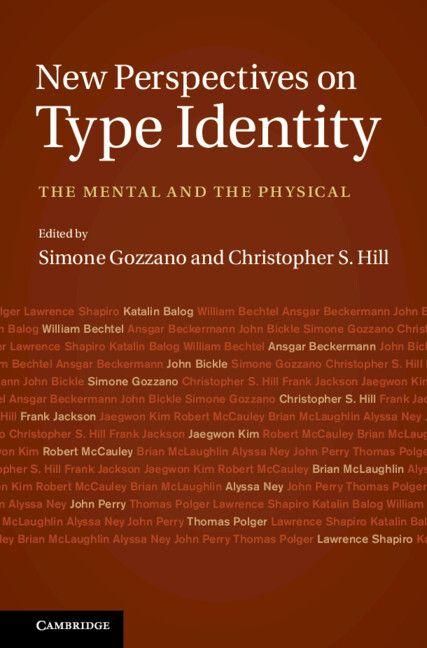Produktbild: New Perspectives on Type Identity