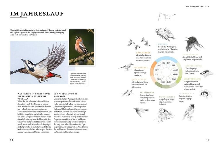 Produktbild: Das Buch der Gartenv&ouml;gel