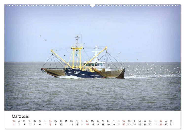 Produktbild: sch&ouml;nes Texel (Wandkalender 2026 DIN A2 quer), CALVENDO Monatskalender