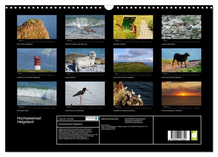 Produktbild: Hochseeeinsel Helgoland (Wandkalender 2026 DIN A3 quer), CALVENDO Monatskalender