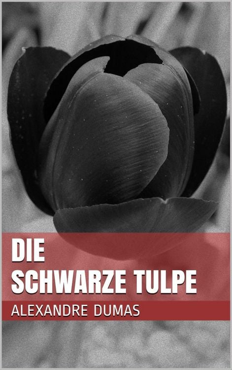 Produktbild: Die schwarze Tulpe