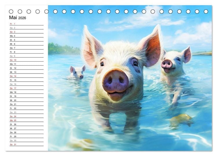 Produktbild: Schweinereien in der Karibik. Sonne und Spa&szlig; mit schwimmenden Schweinen (Tischkalender 2026 DIN A5 quer), CALVENDO Monatskalender