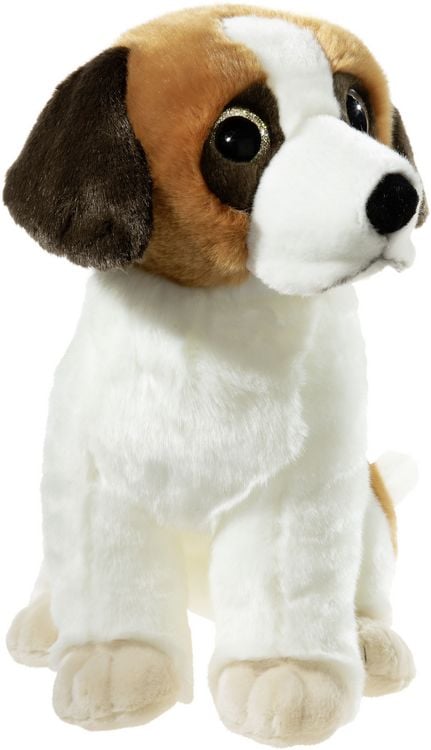 Produktbild: ALPENWELT St.Bernhard