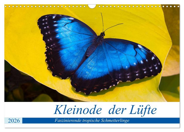 Produktbild: Kleinode der L&uuml;fte - Faszinierende tropische Schmetterlinge (Wandkalender 2026 DIN A3 quer), CALVENDO Monatskalender