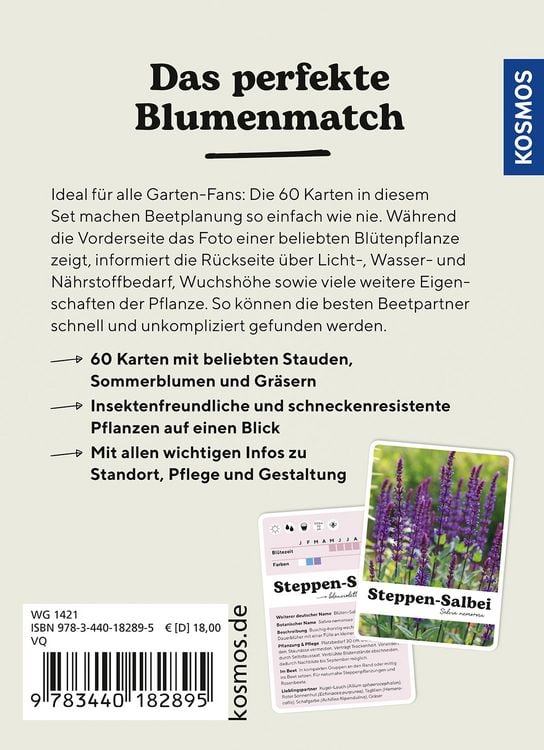 Produktbild: Lilie liebt Sonnenhut