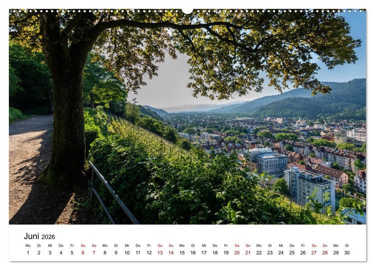 Produktbild: Freiburg, Drumherum (hochwertiger Premium Wandkalender 2026 DIN A2 quer), Kunstdruck in Hochglanz