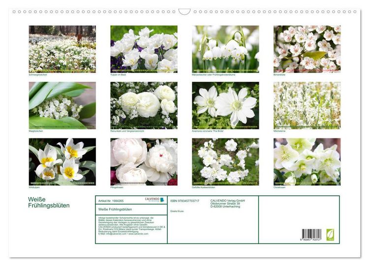 Produktbild: Wei&szlig;e Fr&uuml;hlingsbl&uuml;ten (Wandkalender 2026 DIN A2 quer), CALVENDO Monatskalender