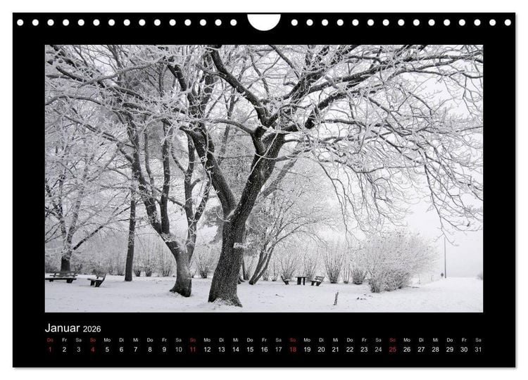 Produktbild: Taunus (Wandkalender 2026 DIN A4 quer), CALVENDO Monatskalender