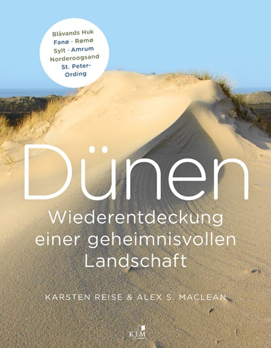 Produktbild: D&uuml;nen. Die Wiederentdeckung einer geheimnisvollen Landschaft
