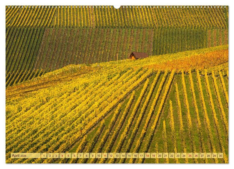 Produktbild: Farbenpr&auml;chtige Weinberge (Wandkalender 2026 DIN A2 quer), CALVENDO Monatskalender