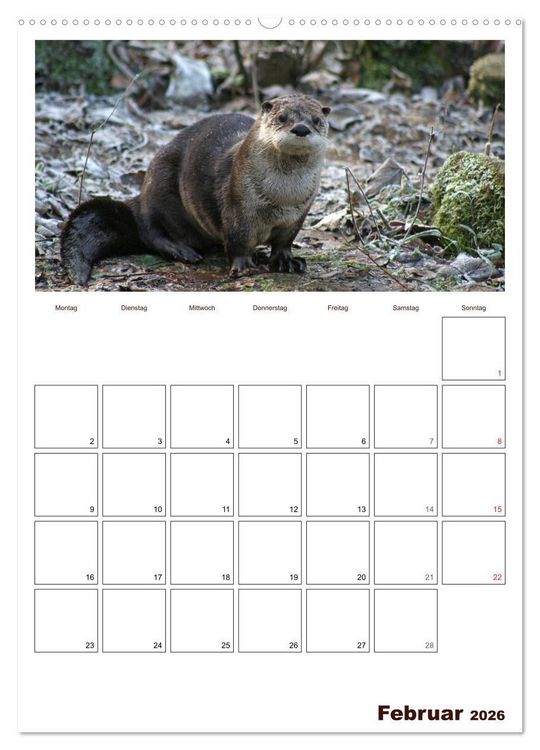 Produktbild: Der Fischotter-Terminplaner (hochwertiger Premium Wandkalender 2026 DIN A2 hoch), Kunstdruck in Hochglanz