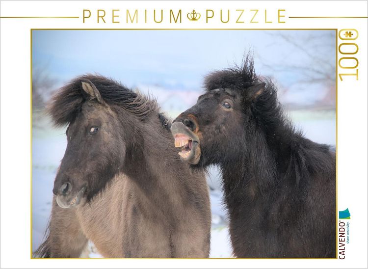 Produktbild: CALVENDO Puzzle Alberei | 1000 Teile Lege-Gr&ouml;&szlig;e 64x48cm Foto-Puzzle f&uuml;r gl&uuml;ckliche Stunden