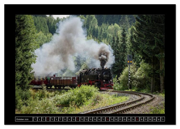 Produktbild: Steam Experience (Wall Calendar 2026 DIN A4 landscape), CALVENDO 12 Month Wall Calendar