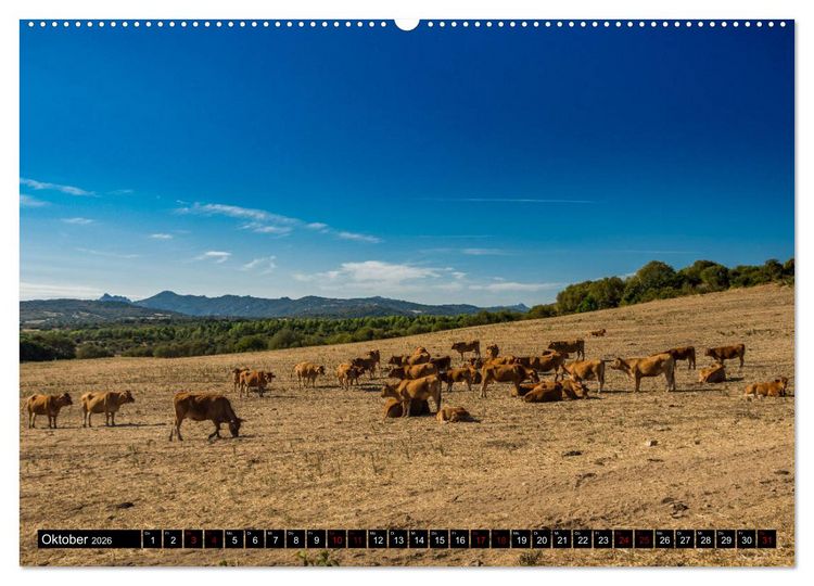 Produktbild: Wildes Sardinien 2026 (hochwertiger Premium Wandkalender 2026 DIN A2 quer), Kunstdruck in Hochglanz