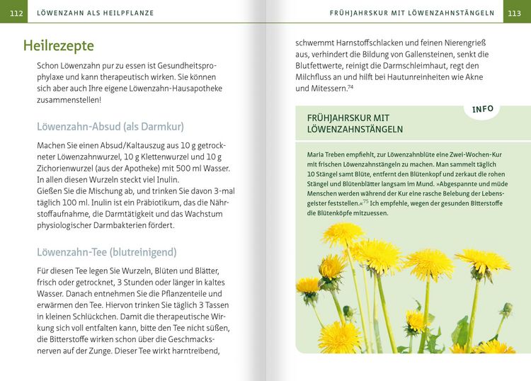Produktbild: L&ouml;wenzahn - Wunderkraut f&uuml;r Resilienz und Lebenskraft. Kompakt-Ratgeber