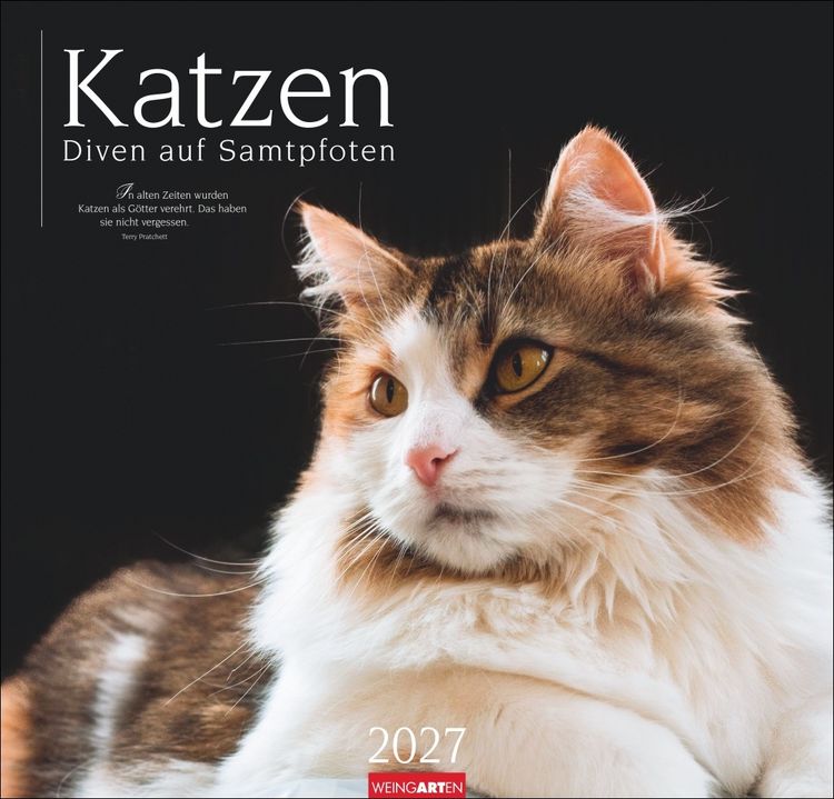 Produktbild: Katzen - Diven auf Samtpfoten Kalender 2027 - Diven auf Samtpfoten