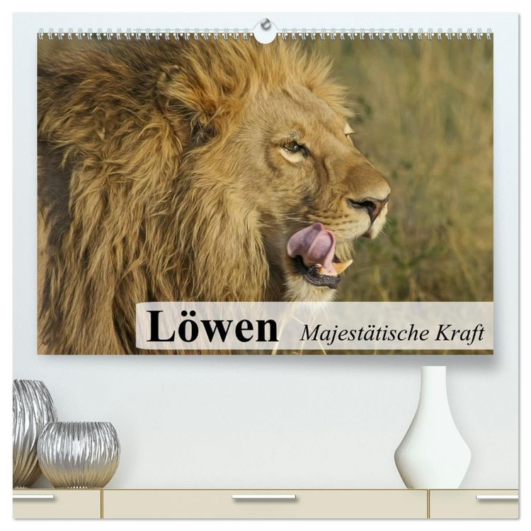 Produktbild: L&ouml;wen. Majest&auml;tische Kraft (hochwertiger Premium Wandkalender 2026 DIN A2 quer), Kunstdruck in Hochglanz