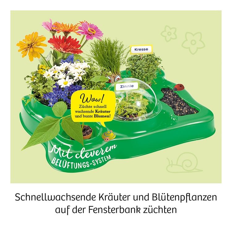 Produktbild: Mein erstes Gew&auml;chshaus