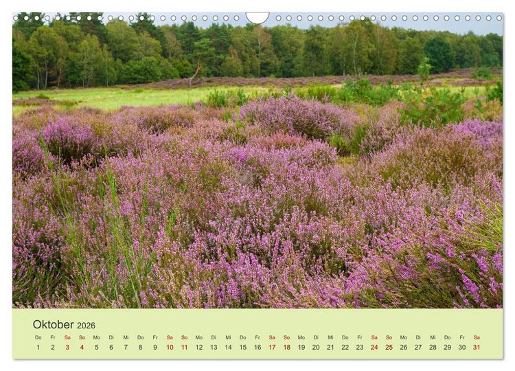 Produktbild: Wilde Blumen - ein Spaziergang durch die Natur (Wandkalender 2026 DIN A3 quer), CALVENDO Monatskalender